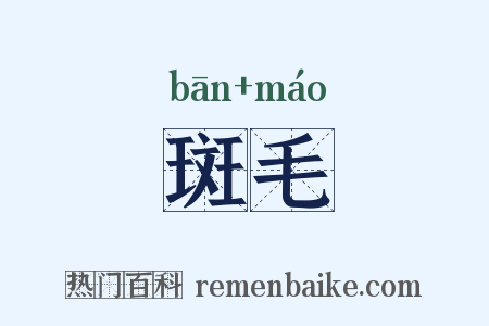 斑毛是什么意思的图片